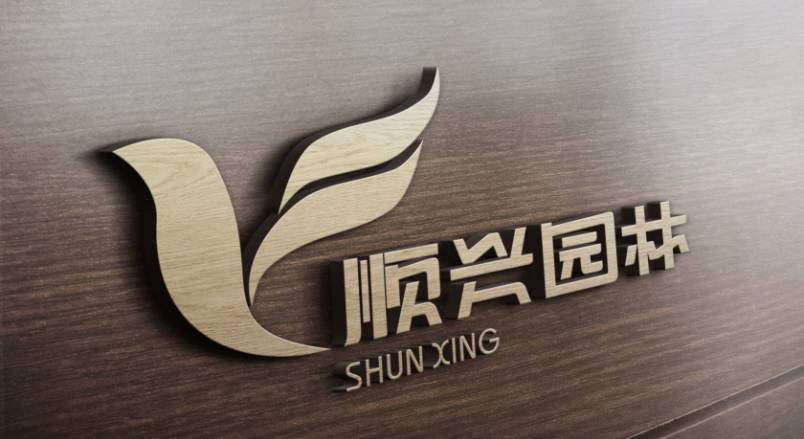 青阳县VI设计：城市品牌蝶变的核心引擎